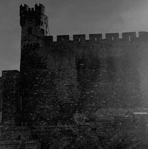 Supremacy Of Love : The Blood of Heroes Is Closer to God Than the Ink of the Philosophers and the Prayers of the Faithfu